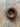 MICHE FREE WHEEL COG